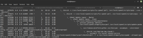 Screenshot-from-2026-04-21-03-30-48.png