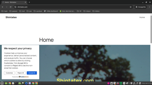 shintatex.com.png
