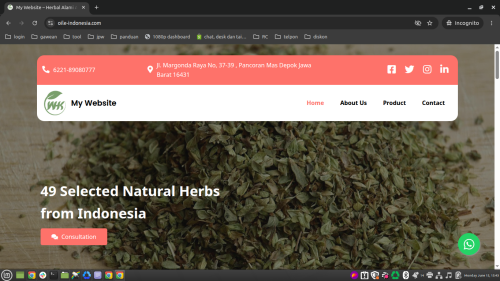 oile-indonesia.com.png