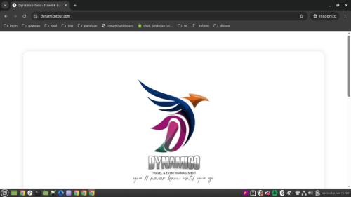 dynamicotour.com.png