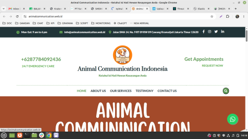 Screenshot-from-2026-06-18-14-16-49.png