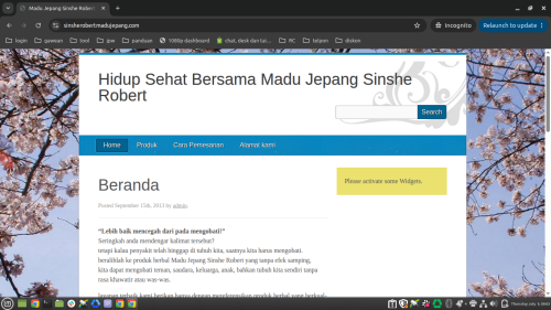 sinsherobertmadujepang.com.png
