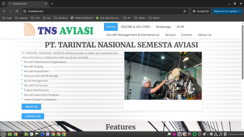 tnsaviasi.com.png