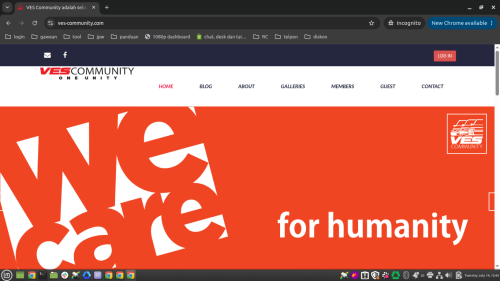 ves-community.com.png