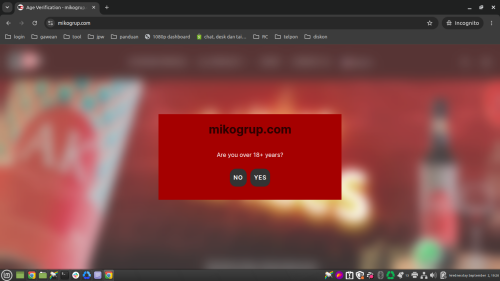 mikogrup.com.png