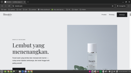 sbcskin.com.png